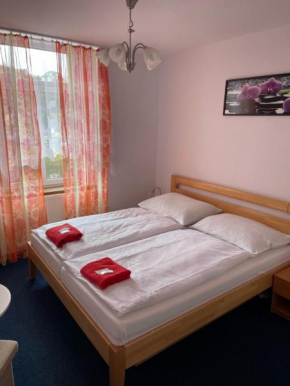 Hotel V Pivovaře Davle, Davle